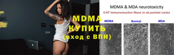 прущие грибы Алексеевка