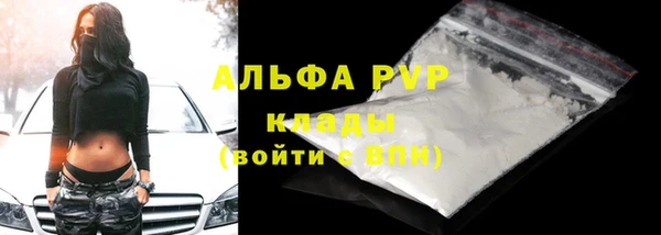a pvp Алзамай