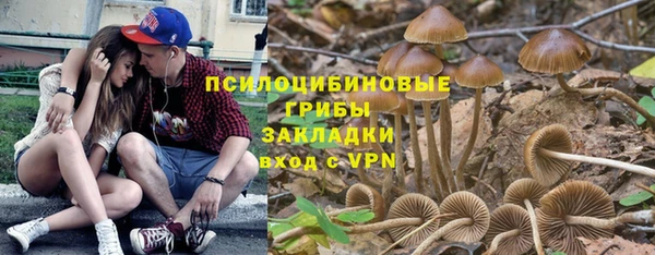 a pvp Алзамай